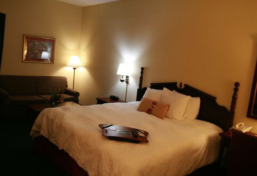 اتاق استاندارد با تخت دوبل, Hampton Inn Russellville