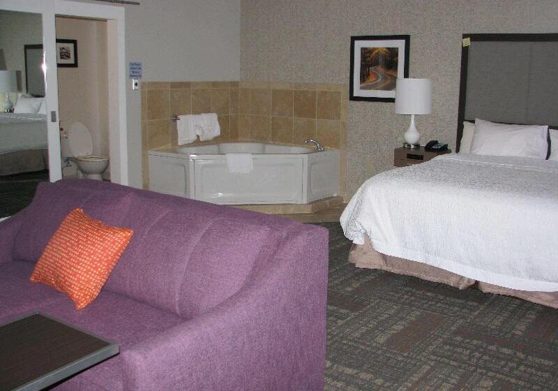 سوئیت با تخت بزرگ, Hampton Inn Sevierville