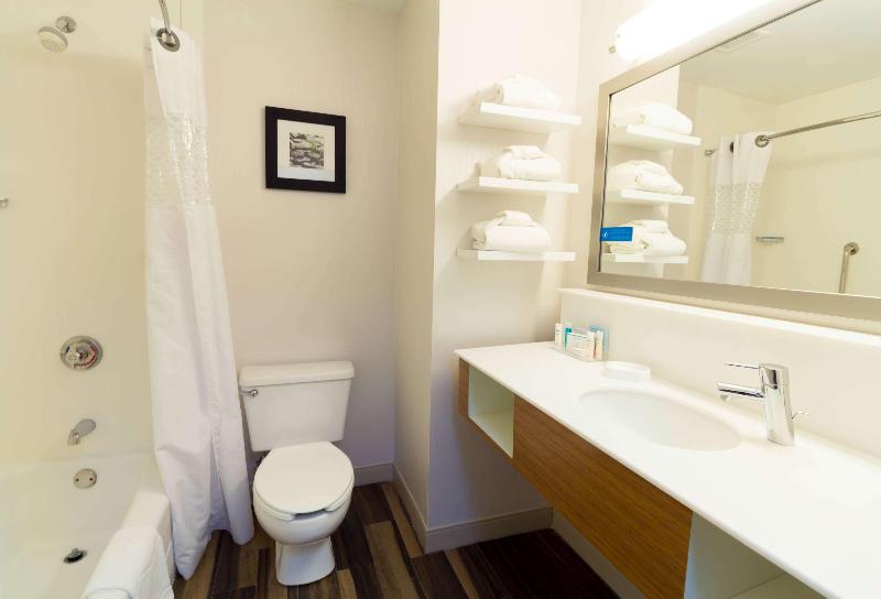سوئیت با تخت بزرگ, Hampton Inn Sevierville