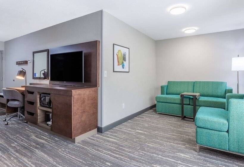 اتاق استاندارد, Hampton Inn Sioux Falls
