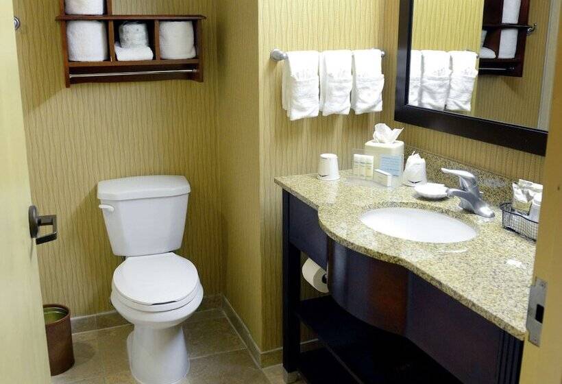 سوئیت با تخت بزرگ, Hampton Inn & Suites El Pasoairport