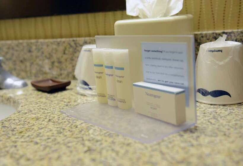 سوئیت با تخت بزرگ, Hampton Inn & Suites El Pasoairport
