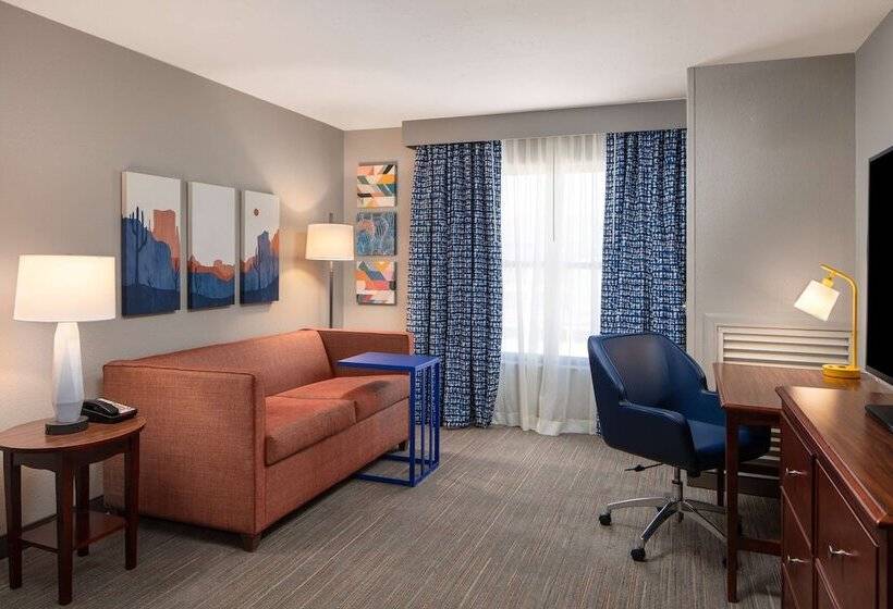 سوئیت با تخت بزرگ, Hampton Inn & Suites El Pasoairport