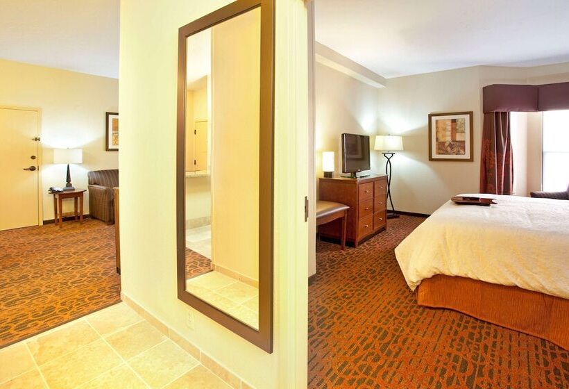 سوئیت با تخت بزرگ, Hampton Inn & Suites El Pasoairport