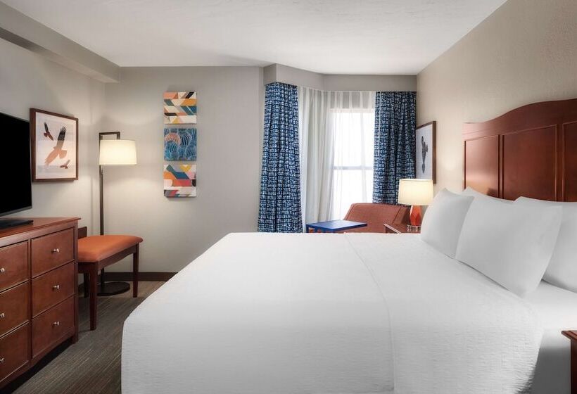 سوئیت با تخت بزرگ, Hampton Inn & Suites El Pasoairport