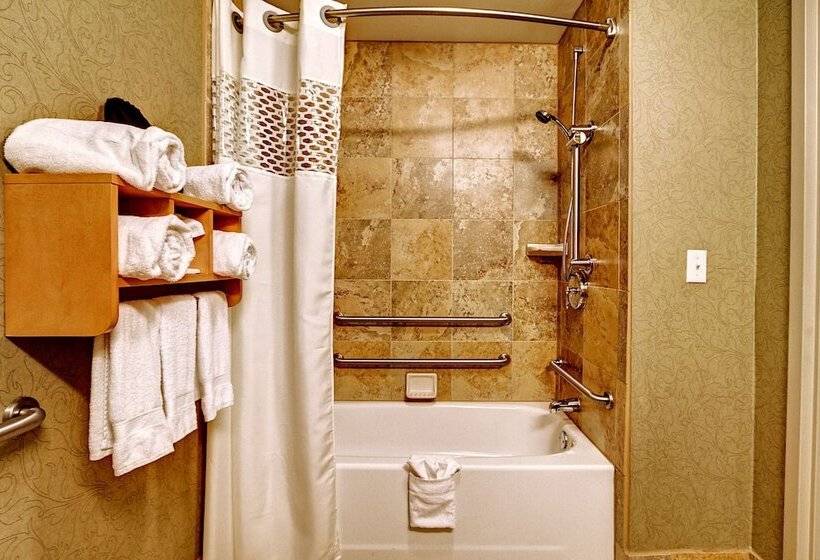 اتاق استاندارد با تخت بزرگ برای معلولان, Hampton Inn & Suites Nashvillevanderbiltelliston Place