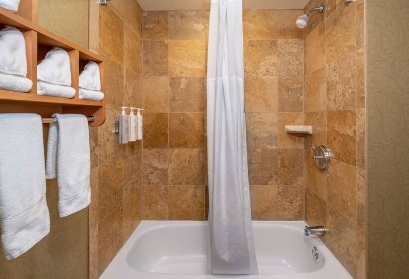 اتاق استاندارد با تخت بزرگ برای معلولان, Hampton Inn & Suites Nashvillevanderbiltelliston Place