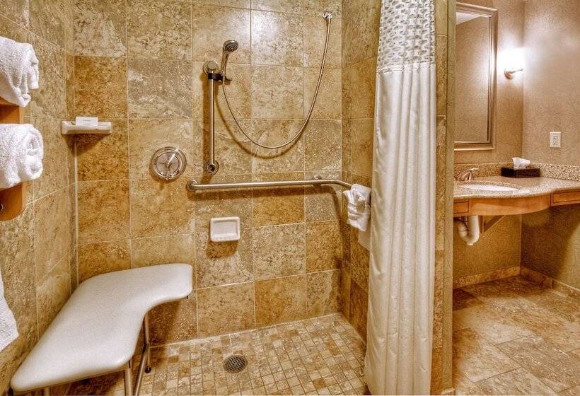 اتاق استاندارد با تخت بزرگ برای معلولان, Hampton Inn & Suites Nashvillevanderbiltelliston Place