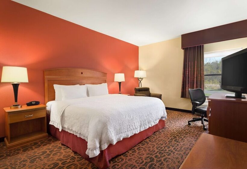 اتاق استاندارد با تخت دوبل برای معلولان, Hampton Inn Wichitaeast