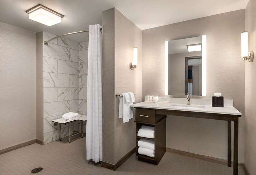 استودیوی استاندارد, Home2 Suites By Hilton Dfw Airport South/irving, Tx