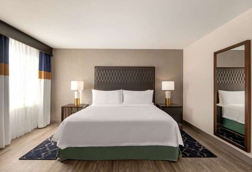 استودیوی استاندارد, Home2 Suites By Hilton Dfw Airport South/irving, Tx
