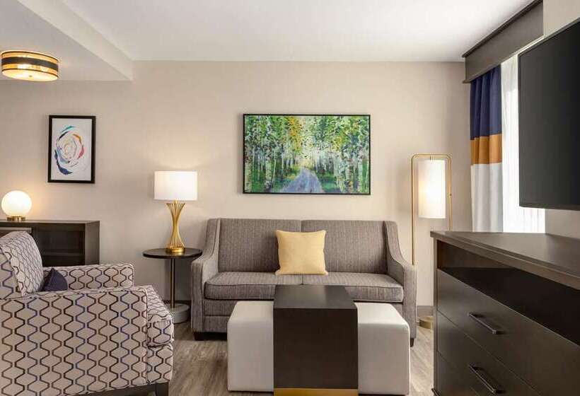 استودیوی استاندارد, Home2 Suites By Hilton Dfw Airport South/irving, Tx