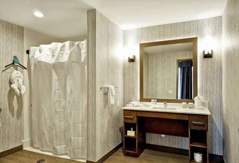 استودیوی استاندارد, Home2 Suites By Hilton Dfw Airport South/irving, Tx