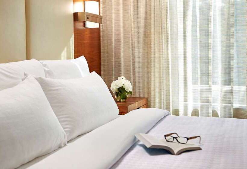 استودیوی استاندارد, Home2 Suites By Hilton Dfw Airport South/irving, Tx