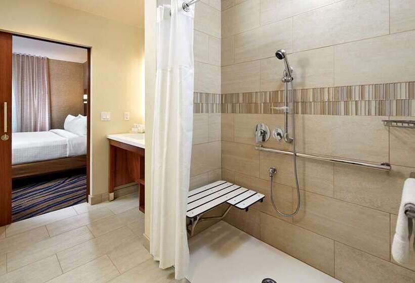استودیوی استاندارد, Home2 Suites By Hilton Dfw Airport South/irving, Tx