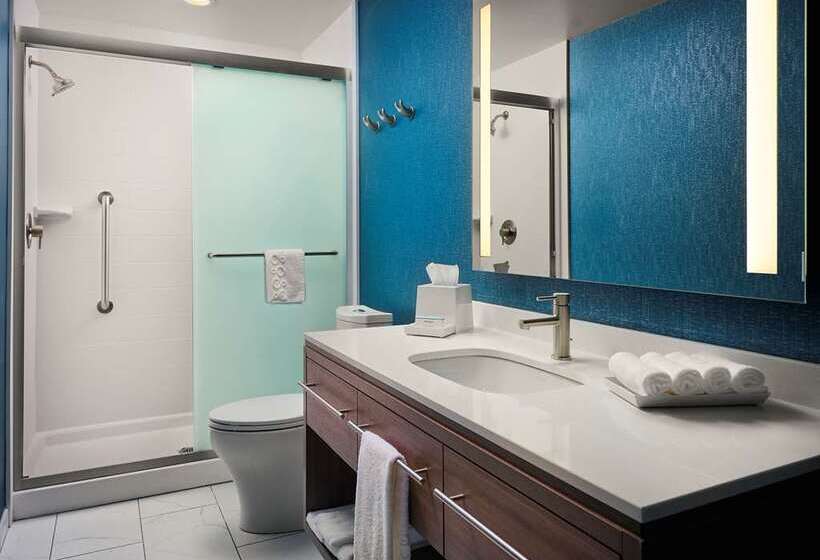 استودیوی استاندارد, Home2 Suites By Hilton Dfw Airport South/irving, Tx