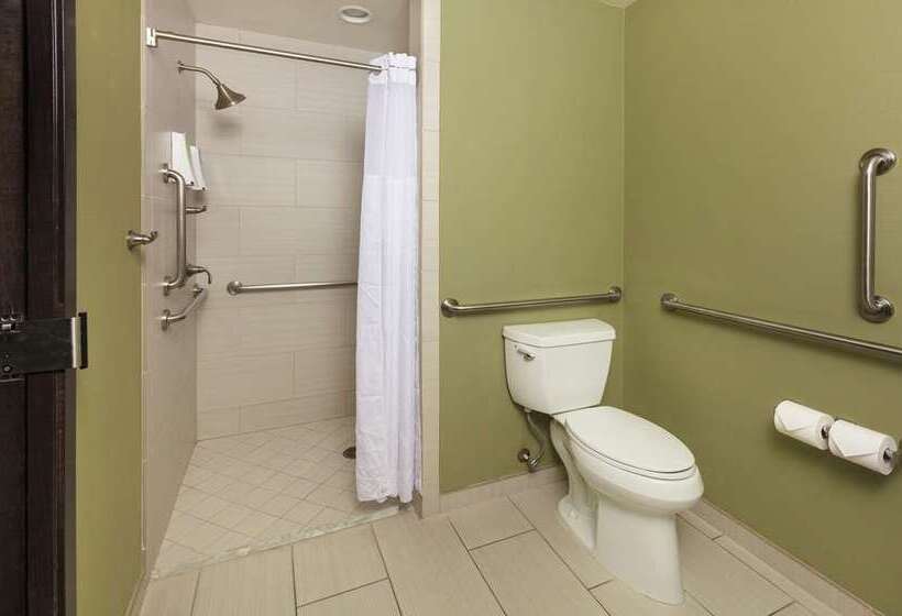 سوییت, Home2 Suites By Hilton Dfw Airport South/irving, Tx
