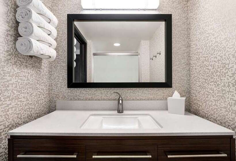 سوییت, Home2 Suites By Hilton Dfw Airport South/irving, Tx