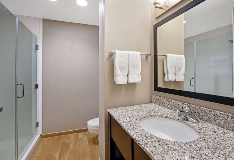 سوییت, La Quinta Inn & Suites By Wyndham Detroit Metro Airport