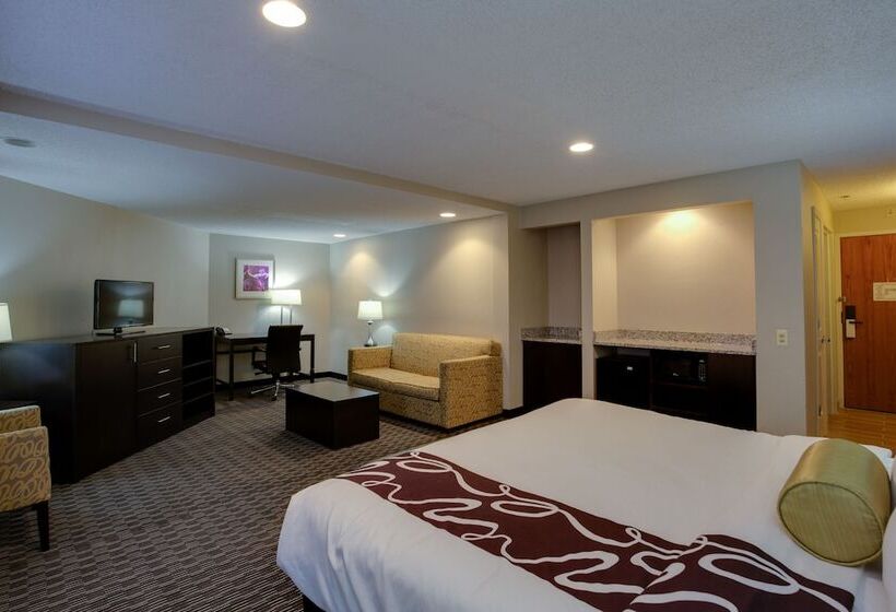 スイート, La Quinta Inn & Suites By Wyndham Detroit Metro Airport