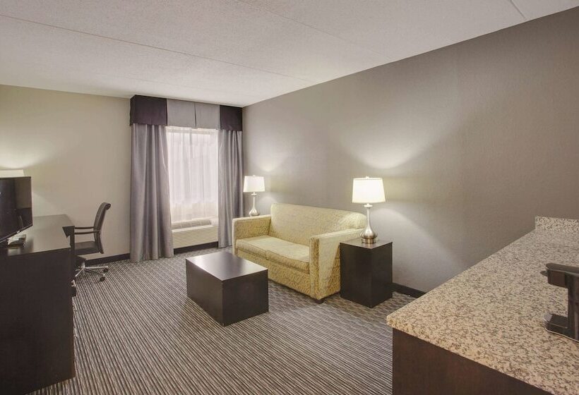 スイート, La Quinta Inn & Suites By Wyndham Detroit Metro Airport