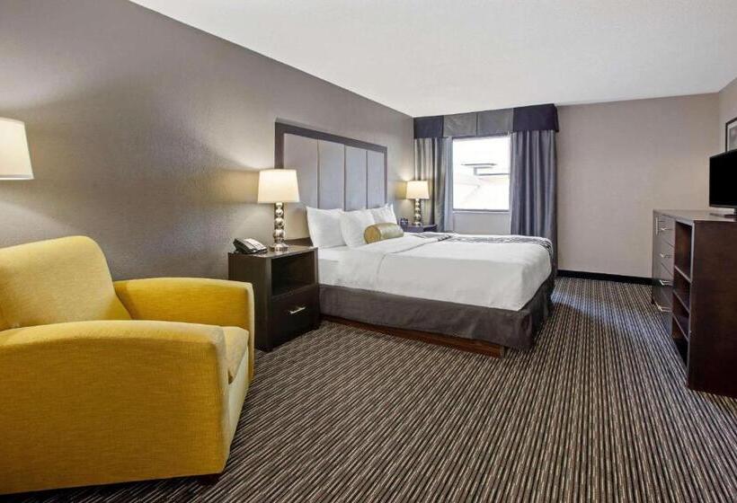 キングサイズベッドのスタンダードルーム, La Quinta Inn & Suites By Wyndham Detroit Metro Airport