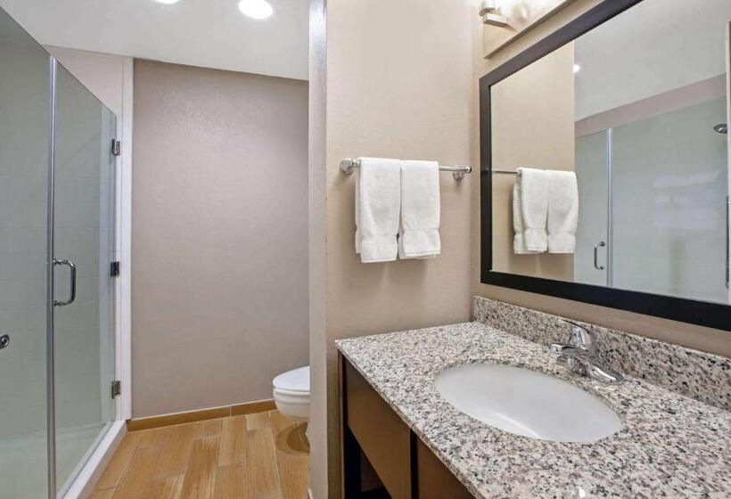 اتاق استاندارد, La Quinta Inn & Suites By Wyndham Detroit Metro Airport