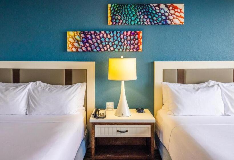 اتاق استاندارد برای معلولان, Wyndham Lake Buena Vista Resort Disney Springs® Resort Area