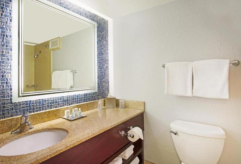 Standard Room Adapted for people with reduced mobility, Wyndham Lake Buena Vista Disney Springs Resort Area