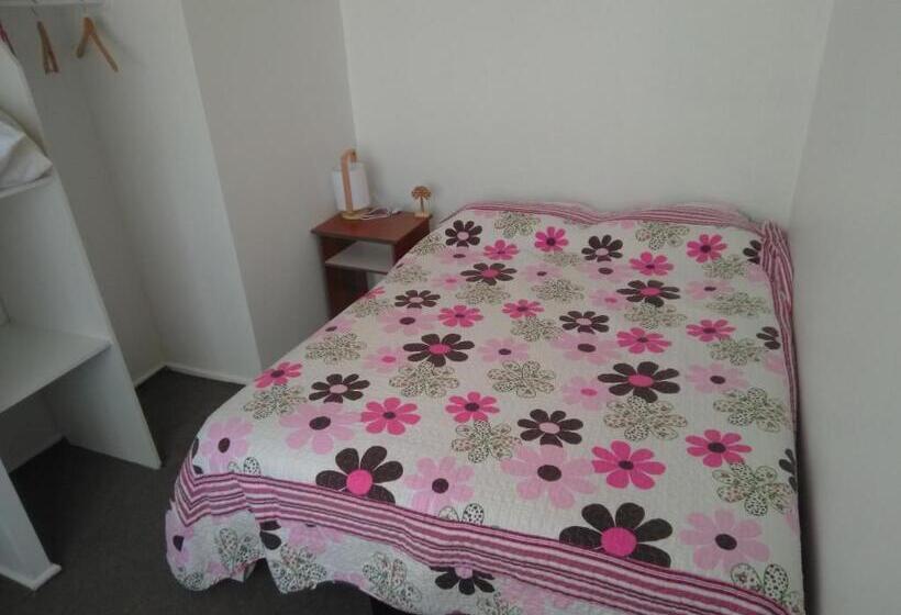 اتاق استاندارد با تخت دوبل, Hostal Brisas Del Sur
