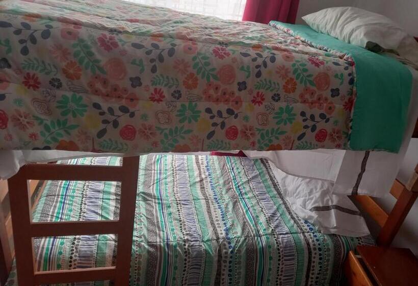 اتاق اکونومی, Hostal Brisas Del Sur