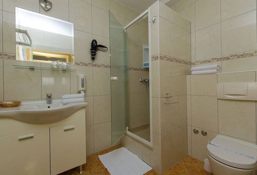 اتاق استاندارد, Apartment And Rooms Ana