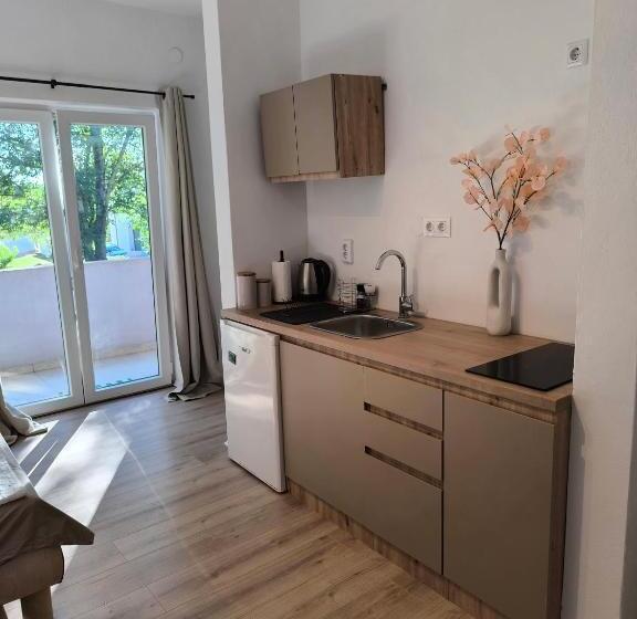 استودیوی استاندارد, Apartment And Rooms Vilma