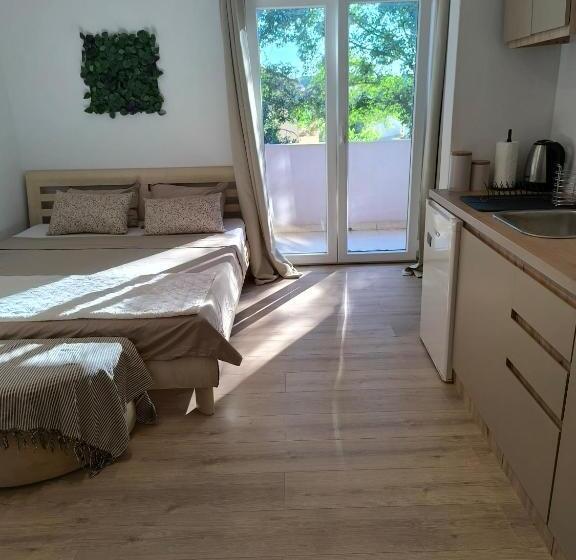 استودیوی استاندارد, Apartment And Rooms Vilma