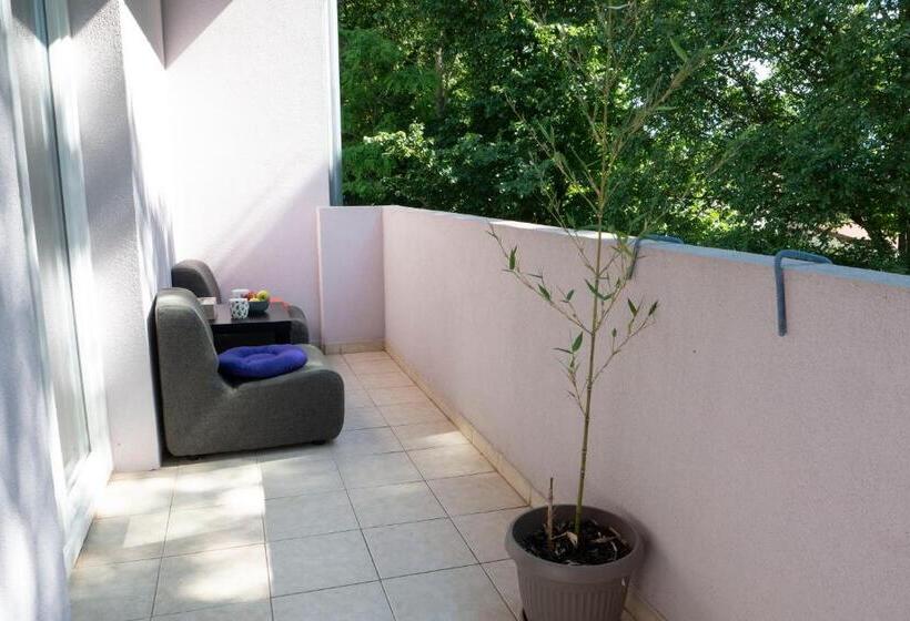 استودیوی استاندارد, Apartment And Rooms Vilma