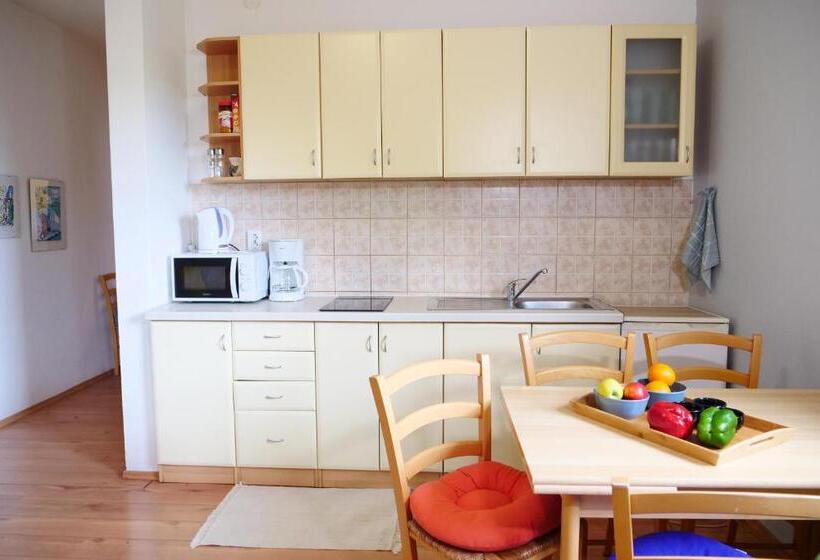 آپارتمان 2 خوابه با تراس, Apartment And Rooms Vilma