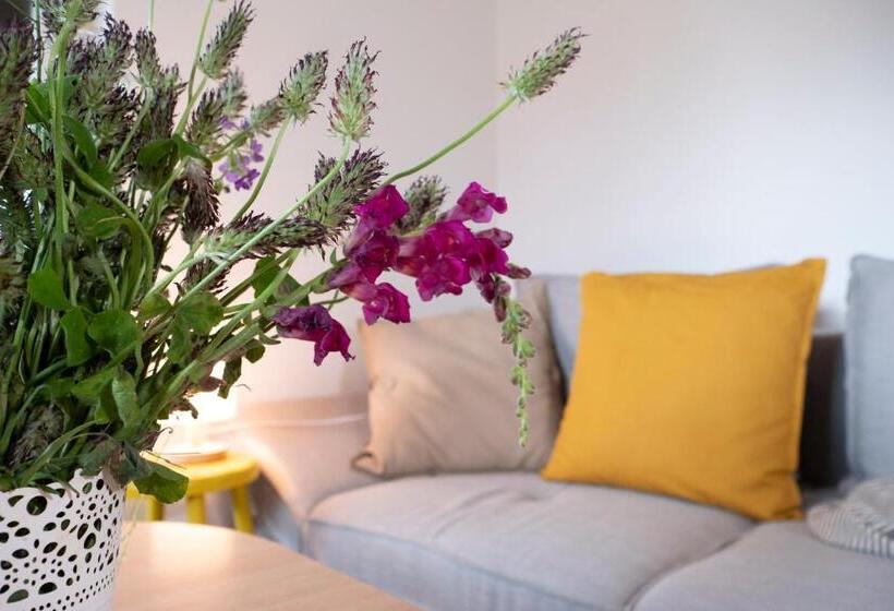 آپارتمان 2 خوابه با تراس, Apartment And Rooms Vilma