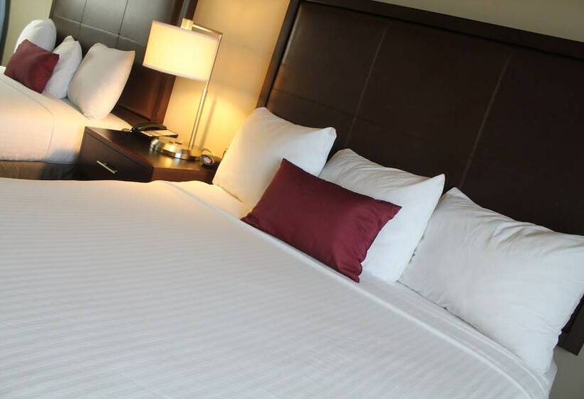 اتاق استاندارد با تخت دوبل, Coast Hilltop Inn
