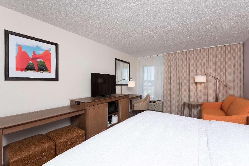 اتاق استاندارد با تخت بزرگ, Hampton Inn Grand Rapids South