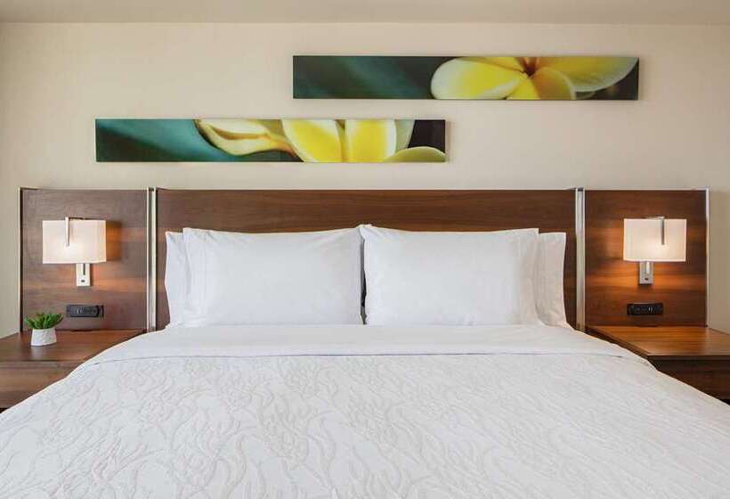 اتاق استاندارد با تخت بزرگ برای معلولان, Hilton Clearwater Beach Resort & Spa
