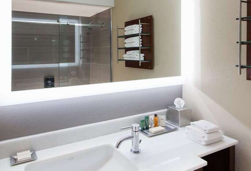 اتاق استاندارد اینتریور, Hilton Clearwater Beach Resort & Spa