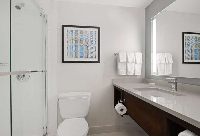 标准间, Hilton Garden Inn Chicago Downtown/magnificent Mile