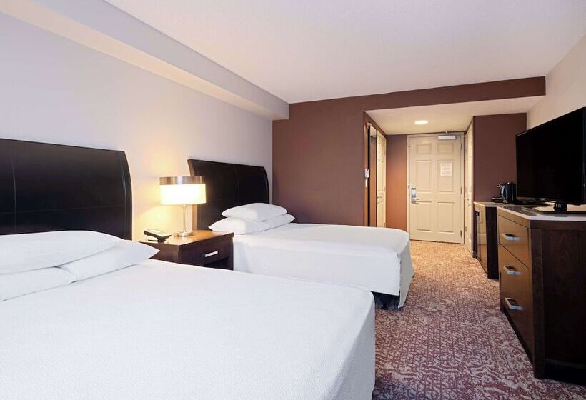 带城市景观的标准间, Hilton Garden Inn Chicago Downtown/magnificent Mile