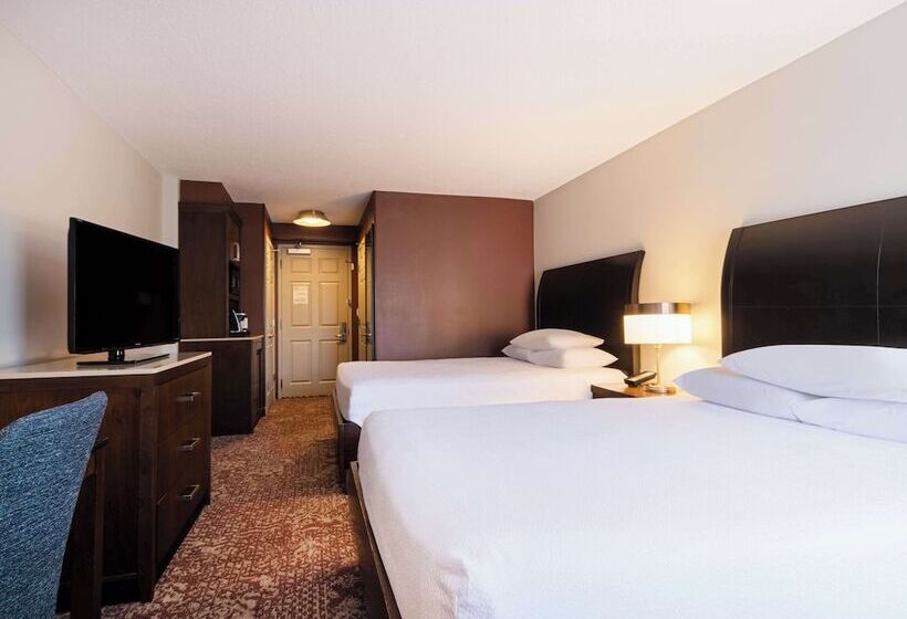 带城市景观的标准间, Hilton Garden Inn Chicago Downtown/magnificent Mile