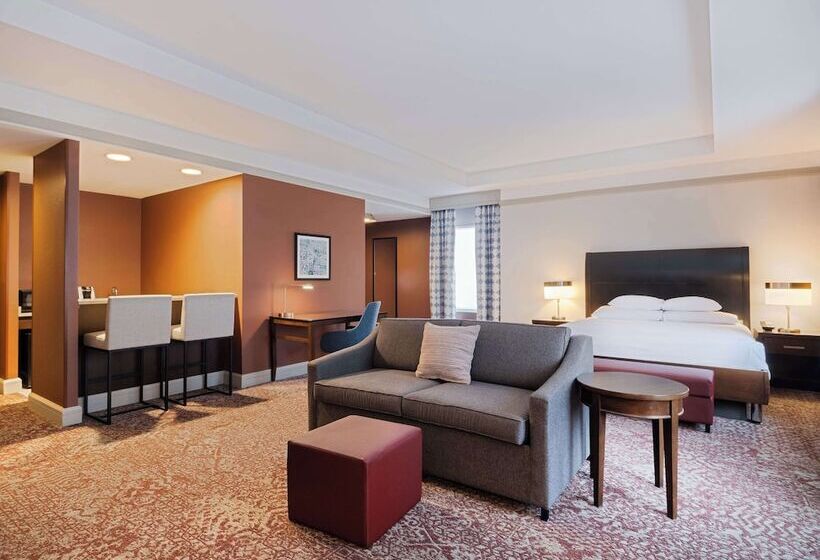 小型套房, Hilton Garden Inn Chicago Downtown/magnificent Mile