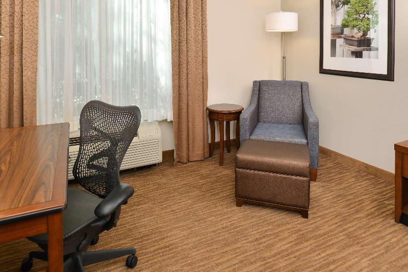 اتاق استاندارد با تخت بزرگ, Hilton Garden Inn Dallas/addison