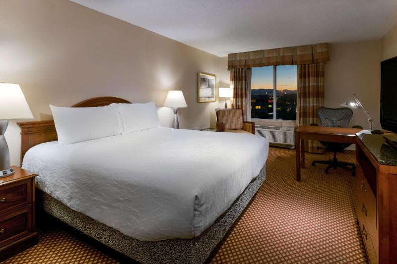 اتاق استاندارد با تخت بزرگ, Hilton Garden Inn Denver Airport