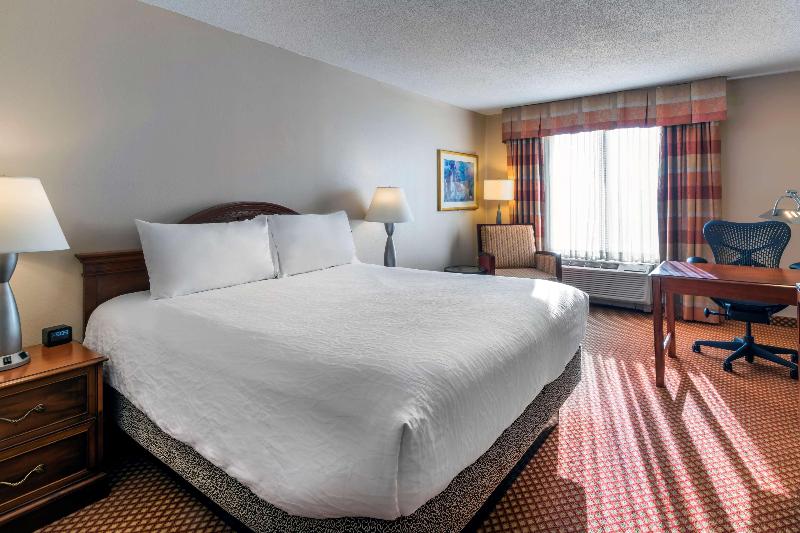 اتاق استاندارد با تخت بزرگ, Hilton Garden Inn Denver Airport