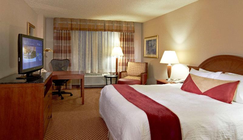 اتاق استاندارد با تخت بزرگ, Hilton Garden Inn Denver Airport