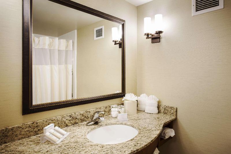 اتاق استاندارد با تخت بزرگ, Hilton Garden Inn Denver Airport